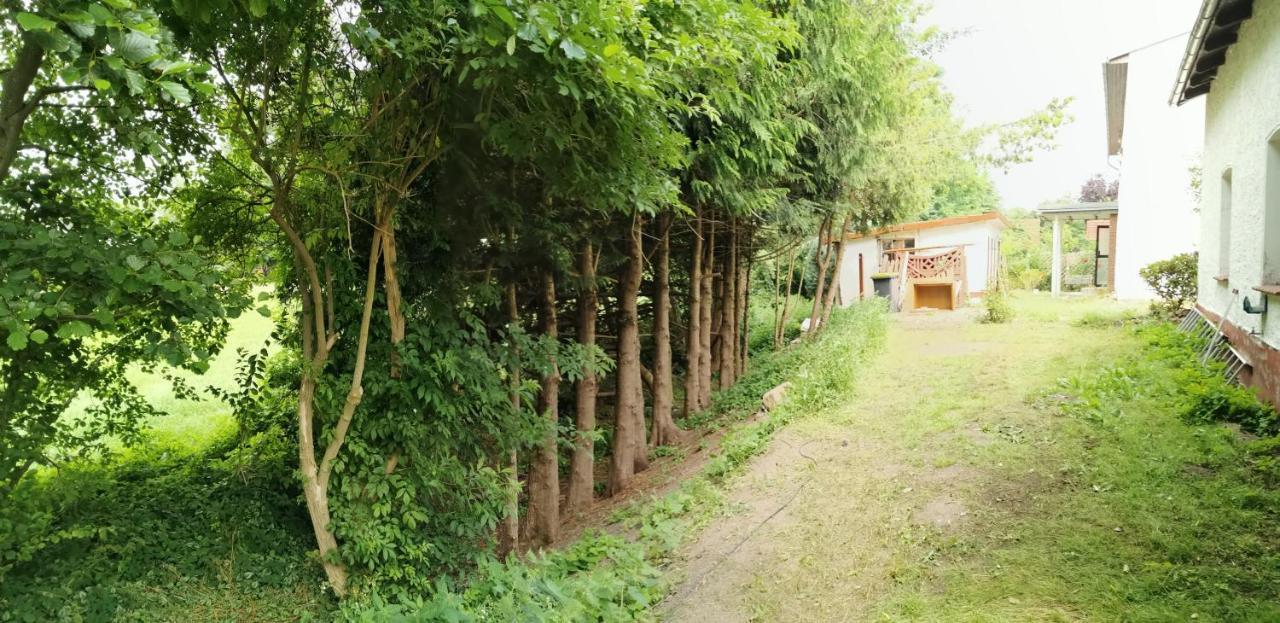 Gemuetliches Ferienhaus "An Der Schilde" In Renzow 外观 照片